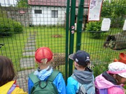 Výlet do ZOO Chleby a Labyrintária Loučeň